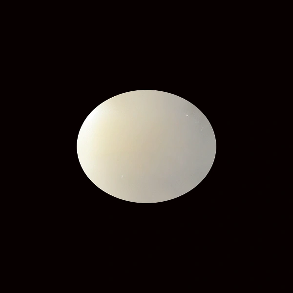 White Coral - 5.50 carats